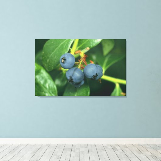 Blauwbes Canvas Afdruk (Insitu (Houten vloer))