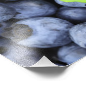 Blauwbes Foto Afdruk (Hoek)