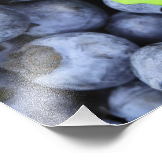 Blauwbes Foto Afdruk (Hoek)