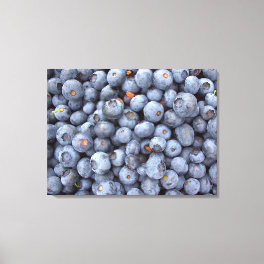 Blauwbes fotografie. canvas afdruk (Voorkant)