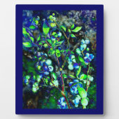 Blauwbes Fotoplaat (Voorkant)