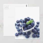 Blauwbes geïsoleerd op wit briefkaart (Voorkant / Achterkant)