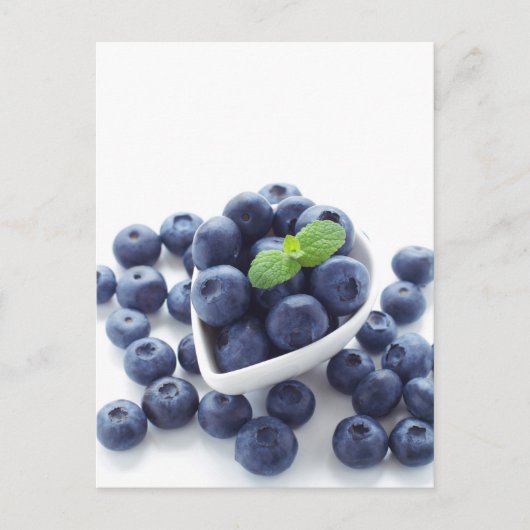 Blauwbes geïsoleerd op wit briefkaart (Voorkant)