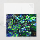 Blauwbes - groene tint briefkaart (Voorkant / Achterkant)