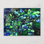 Blauwbes - groene tint briefkaart (Voorkant)