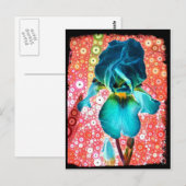 Blauwbes Iris Briefkaart (Voorkant / Achterkant)