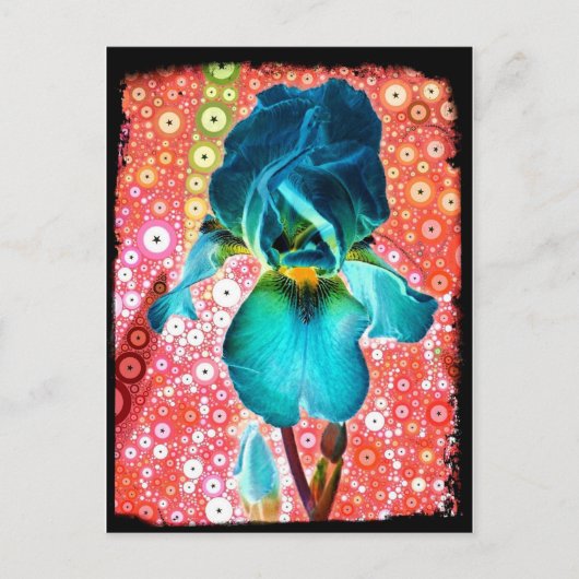 Blauwbes Iris Briefkaart (Voorkant)