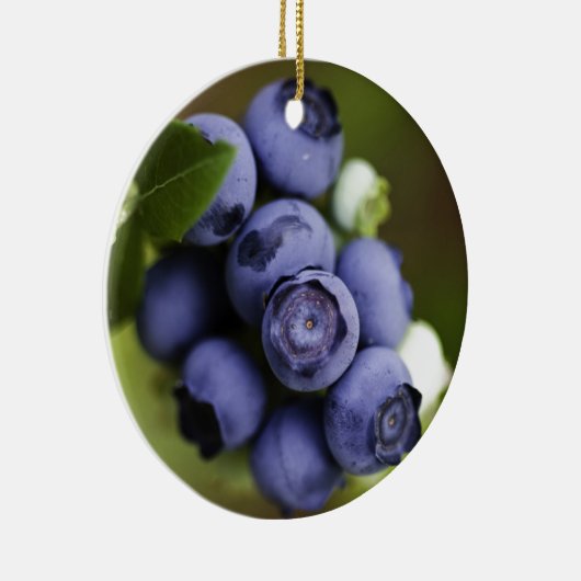 blauwbes keramisch ornament (Rechts)