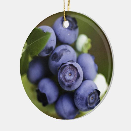 blauwbes keramisch ornament (Links)