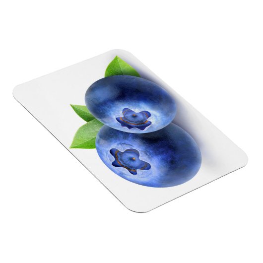 Blauwbes Magneet (Rechterzijde)