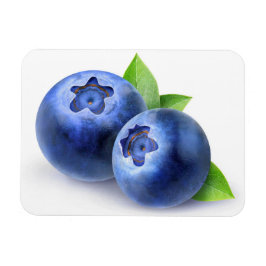 Blauwbes Magneet