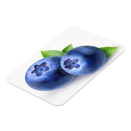 Blauwbes Magneet (Linkerzijde)