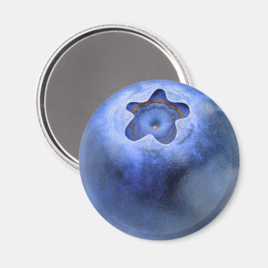 Blauwbes Magneet (Voorkant / Achterkant)