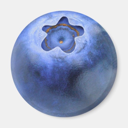 Blauwbes Magneet (Voorkant)