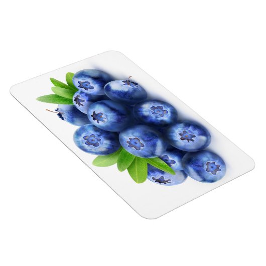 Blauwbes Magneet (Rechterzijde)