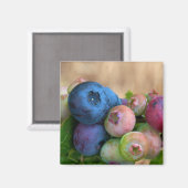 Blauwbes Magnet (Voorkant / Achterkant)