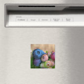 Blauwbes Magnet (Insitu (Vaatwasser))