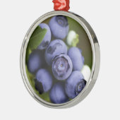 blauwbes metalen ornament (Links)