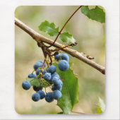 Blauwbes Muismatten (Voorkant)