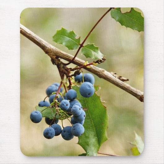 Blauwbes Muismatten (Voorkant)