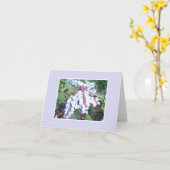 Blauwbes notaris kaart (Gele Bloem)