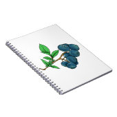 blauwbes notitieboek (Rechterzijde)