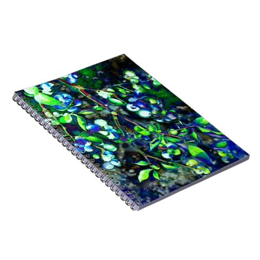 Blauwbes Notitieboek (Rechterzijde)