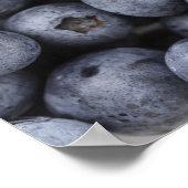 Blauwbes Poster (Hoek)