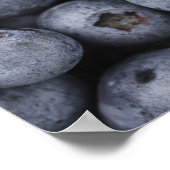 Blauwbes Poster (Hoek)