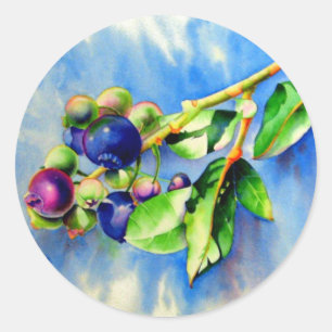 Blauwbes Ronde Sticker