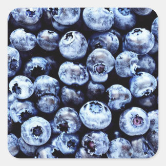 Blauwbes Square Sticker