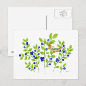 Blauwbes Struik Gnome briefkaart (Voorkant / Achterkant)