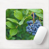 Blauwbes Struik Muismat (Met muis)