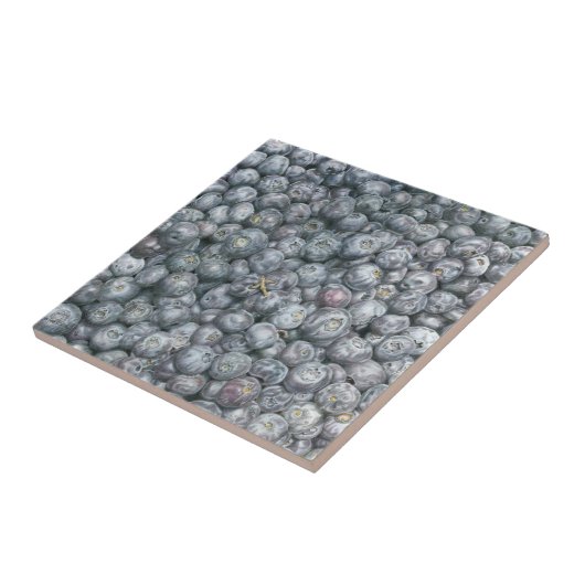 Blauwbes Tegeltje (Zijkant)