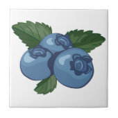 Blauwbes Tegeltje (Voorkant)