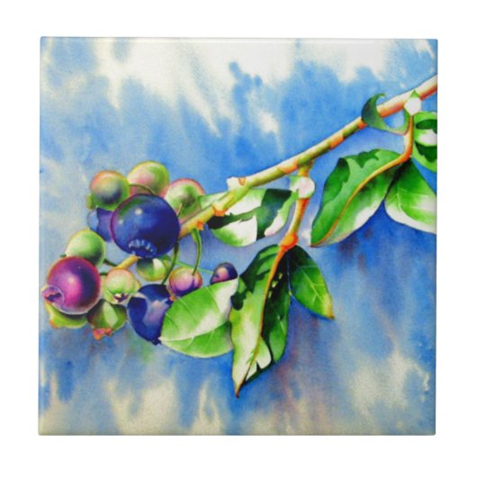 Blauwbes Tegeltje (Voorkant)