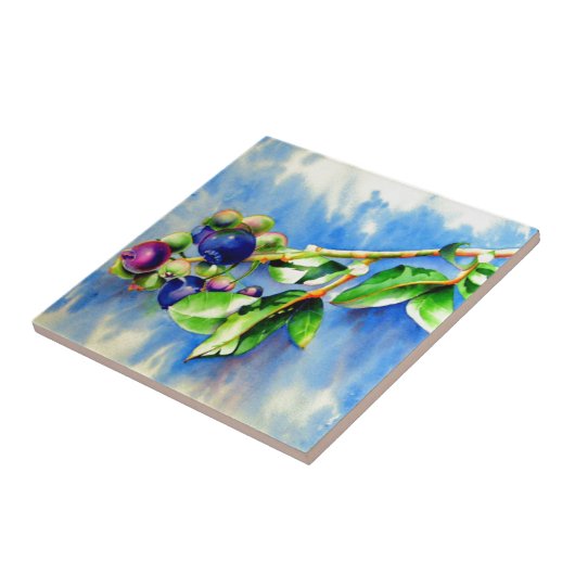 Blauwbes Tegeltje (Zijkant)