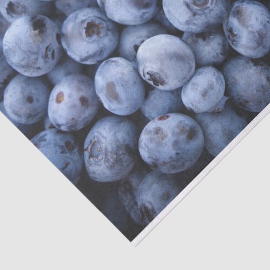 Blauwbes Tissuepapier (Detail)