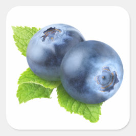 Blauwbes Vierkante Sticker