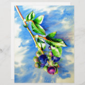 Blauwbes, waterverf schilderen (Voorkant / Achterkant)