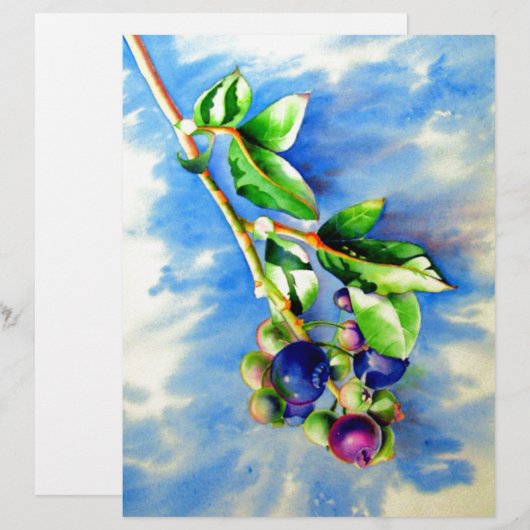 Blauwbes, waterverf schilderen (Voorkant / Achterkant)