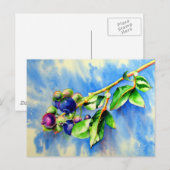 Blauwbes, waterverf schilderen briefkaart (Voorkant / Achterkant)