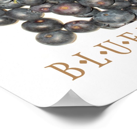 Blauwbessen Keukenkunst Poster (Hoek)