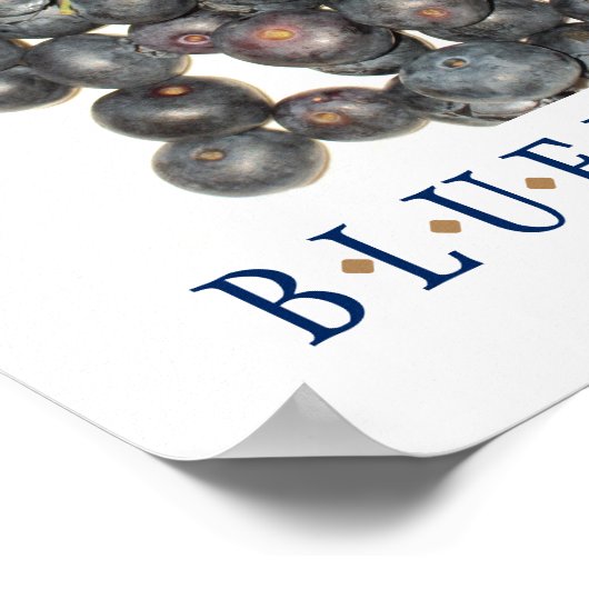 Blauwbessen Keukenkunst Poster (Hoek)