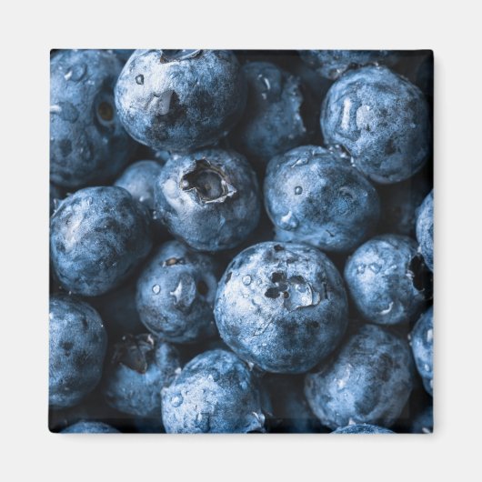 Blauwbessen Magneet (Voorkant)