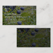 Blauwbessen met groene bladeren visitekaartje (Voorkant / Achterkant)