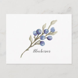 Blauwbessen op bijkantoor briefkaart