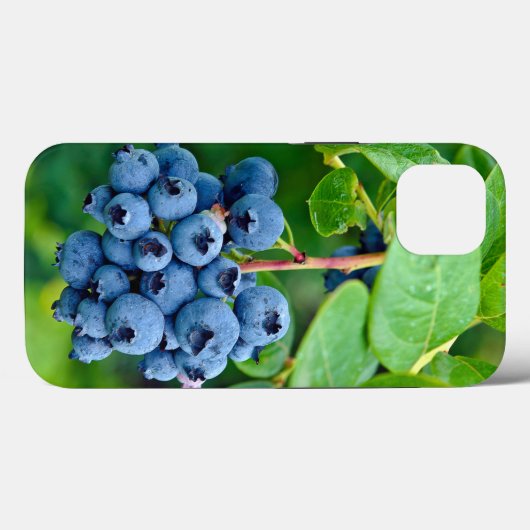Blauwbessen op Struik Case-Mate iPhone Case (Achterkant (horizontaal))