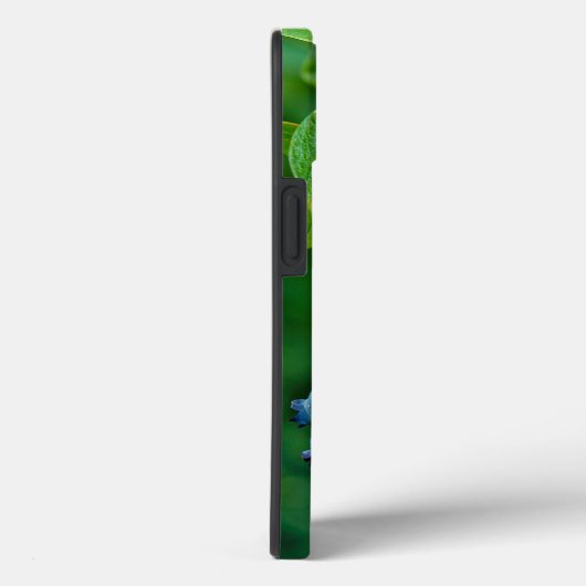 Blauwbessen op Struik Case-Mate iPhone Case (Achterkant / Rechts)