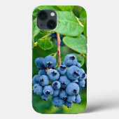 Blauwbessen op Struik Case-Mate iPhone Case (Achterkant)